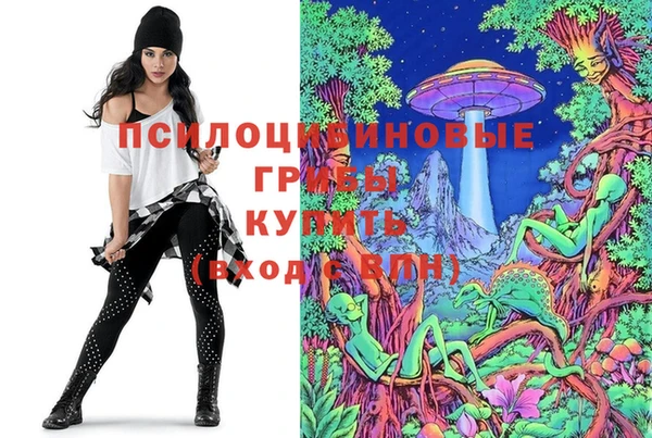 бутират Алексин