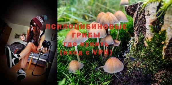 мдпв Надым